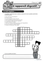Aperçu - Feuilles d'exercices - Le corps humain : l'appareil digestif - Page 2