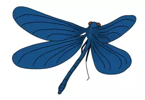 Vorschau - Mal- und Bastelvorlagen - Cliparts Tiere am See: Tafelmaterial / Malvorlage / Gestaltung von Unterrichtsmaterial - Seite 3