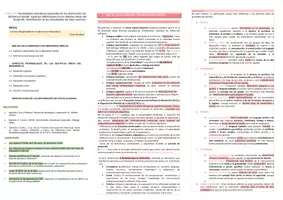 Vista previa - Unidades / Secuencias / Situaciones de Aprendizaje - Oposiciones Pedagogía Terapéutica: esquema tema 20 - página 1