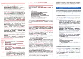 Vista previa - Unidades / Secuencias / Situaciones de Aprendizaje - Oposiciones Pedagogía Terapéutica: esquema tema 20 - página 2