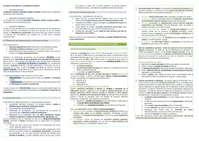 Vista previa - Unidades / Secuencias / Situaciones de Aprendizaje - Oposiciones Pedagogía Terapéutica: esquema tema 20 - página 3