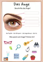 Vorschau - Arbeitsblätter - 5 Sinne: Auge Erklärung und Beschriftung - Seite 2