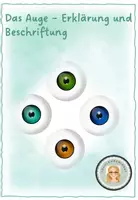 Vorschau - Arbeitsblätter - 5 Sinne: Auge Erklärung und Beschriftung - Deckblatt