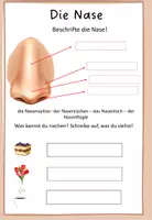 Vorschau - Arbeitsblätter - 5 Sinne: Nase Erklärung und Beschriftung - Seite 2