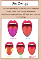 Vorschau - Arbeitsblätter - 5 Sinne: Zunge Geschmacksrichtungen (inkl. umami) - Seite 1