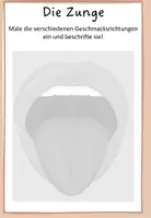 Vorschau - Arbeitsblätter - 5 Sinne: Zunge Geschmacksrichtungen (inkl. umami) - Seite 2