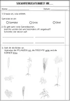 Vorschau - Test - Klassenarbeit zum Thema Getreide Klasse 3 / 4 - Seite 1