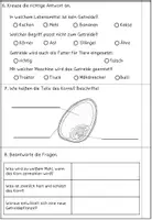 Vorschau - Test - Klassenarbeit zum Thema Getreide Klasse 3 / 4 - Seite 3