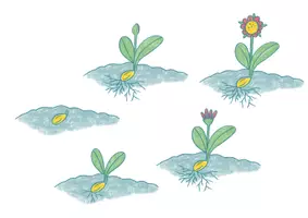 Vorschau - Arbeitsblätter - Reflexionsblume zur Rückmeldung - Seite 2