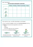 Vorschau - Arbeitsblätter - Reflexionsblume zur Rückmeldung - Seite 3