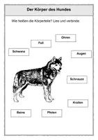Vorschau - Arbeitsblätter - Der Hund 1. Klasse - Seite 3