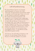 Vorschau - Arbeitsblätter - Lapbook Haustiere + Abschreibübung/Laufdiktat - Seite 2