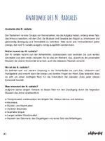 Vorschau - Stundenentwürfe - Arbeitsheft für Schüler*innen: Anatomie der Handnerven (Biologie) - Seite 3