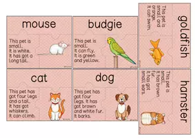 Vorschau - Spiele - Pets - Read and Puzzle - Seite 2