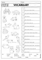 Vorschau - Arbeitsblätter - Pets - differenzierte Vokabelübungen / Arbeitsblätter Pets #edukilights22 - Seite 3
