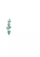 Vorschau - selbst erstellte Cliparts/Grafiken - Clipart Eukalyptus, Elemente und Kränze für Arbeitsblätter, wachsendes Paket - Seite 1