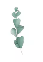 Vorschau - selbst erstellte Cliparts/Grafiken - Clipart Eukalyptus, Elemente und Kränze für Arbeitsblätter, wachsendes Paket - Seite 2