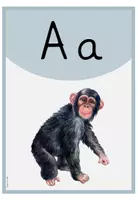 Vorschau - Poster - Anlautposter - Anlautplakate - Buchstabenschilder (Pastell) - Seite 3