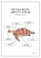 Aperçu - Feuilles d'exercices - Dortoka baten gorputz atalak -POSTERRA - EUSKARAZ. - Page 2