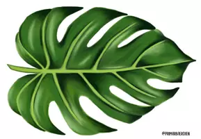Vorschau - Poster - Tropische Türdeko: Monstera Blätter und Schriftzug Klasse - Seite 3