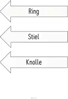 Vorschau - Arbeitsblätter - Materialpaket - Pilze (2. Klasse) - Seite 3