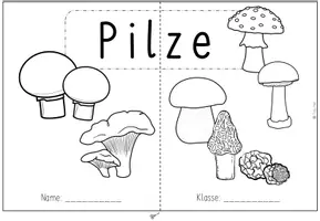 Vorschau - Arbeitsblätter - Pilze - Lapbook für die 2. Klasse - Deckblatt