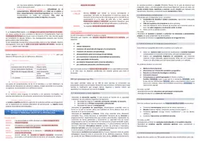 Vista previa - Unidades / Secuencias / Situaciones de Aprendizaje - Oposiciones Pedagogía Terapéutica: esquema tema 23 - página 2