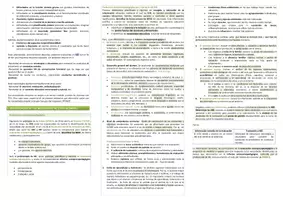 Vista previa - Unidades / Secuencias / Situaciones de Aprendizaje - Oposiciones Pedagogía Terapéutica: esquema tema 23 - página 3