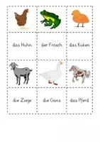 Vorschau - Spiele - Kartenspiel Tiere: Tiernamen - Seite 1