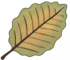 Vorschau - selbst erstellte Cliparts/Grafiken - Herbstblätter - Cliparts (14 Stück, als Fensterdeko anwendbar, Cliparts auch kommerziell nutzbar) - Seite 3