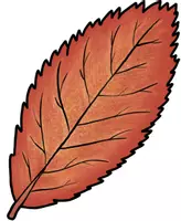 Vorschau - selbst erstellte Cliparts/Grafiken - Herbstblätter - Cliparts (14 Stück, als Fensterdeko anwendbar, Cliparts auch kommerziell nutzbar) - Seite 1