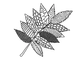 Vorschau - Stundenentwürfe - Fensterdeko / Ausmalbilder Herbst als Kunstprojekt: 30 Herbstblätter zur kreativen Gestaltung (im Herbst als Mandala-Vorlage durch Umrisszeichnung, für Herbstgedichte, im Kunstunterricht: Doodle-Cliparts) - Seite 1