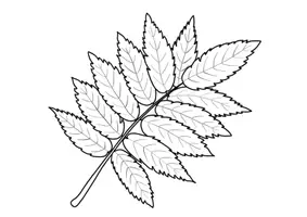 Vorschau - Stundenentwürfe - Fensterdeko / Ausmalbilder Herbst als Kunstprojekt: 30 Herbstblätter zur kreativen Gestaltung (im Herbst als Mandala-Vorlage durch Umrisszeichnung, für Herbstgedichte, im Kunstunterricht: Doodle-Cliparts) - Seite 2