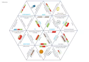 Vorschau - Spiele - Magnete & Magnetismus – Dreieck Domino Spiel - Seite 2