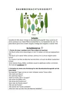 Vorschau - Aufgabenkarten - BAUMBEOBACHTUNG Portfolio - Seite 2