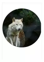 Vorschau - Anderer Materialtyp - Wolfklasse / Klassentier Wolf Wimpel Schulanfang + Sachunterricht Wölfe - Seite 3
