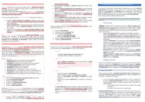 Vista previa - Unidades / Secuencias / Situaciones de Aprendizaje - Oposiciones Pedagogía Terapéutica: esquema tema 15 - página 2