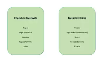 Vorschau - Spiele - Regenwaldspiel "Rate ein Wort" Klasse 7 Erdkunde - Seite 2
