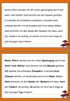 Vorschau - Aufgabenkarten - Herbst: Fehlerteufel Großschreibung - Lesekarten - Seite 3