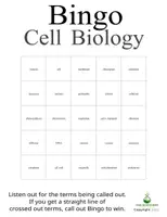 Vorschau - Spiele - Cell Biology Bingo - Great for Review and Cover Lessons - Seite 2