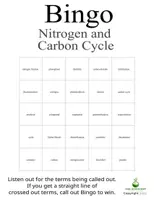 Vorschau - Spiele - Nitrogen and Carbon Cycle Bingo - Great for Review and Cover Lessons - Seite 2