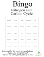 Vorschau - Spiele - Nitrogen and Carbon Cycle Bingo - Great for Review and Cover Lessons - Seite 3