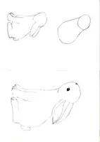 Vorschau - Aufgabenkarten - Hase Tierzeichnung Schritt-für-Schritt - Deckblatt