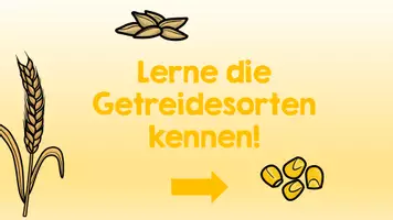 Vorschau - Präsentationen/Tafelbilder - Getreidesorten kennenlernen mit interaktiven PDFs - Seite 2