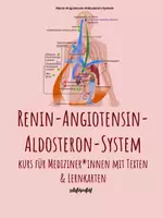 Vorschau - Stundenentwürfe - Lernkarten & Arbeitsheft: Renin-Angiotensin-Aldosteron-System (Stundenentwurf) - Deckblatt