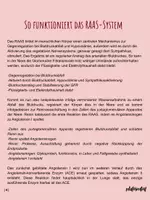 Vorschau - Stundenentwürfe - Lernkarten & Arbeitsheft: Renin-Angiotensin-Aldosteron-System (Stundenentwurf) - Seite 3