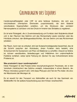 Vorschau - Stundenentwürfe - Arbeitsheft & Stundenentwurf: Liquorsystem - Seite 3