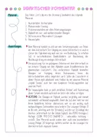 Vorschau - Stundenentwürfe - Working with the Dictionary (Introductory Unit) - Seite 1