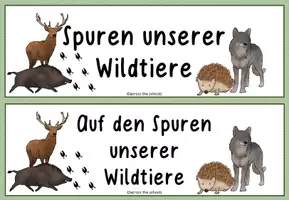 Vorschau - Präsentationen/Tafelbilder - Spuren heimischer Wildtiere: Tafelmaterial - Seite 2