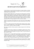 Aperçu - Fiches - Qu’est-ce que le mur budgétaire ? - Page 2